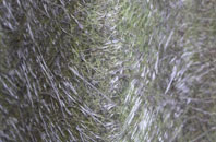 Inkpen fibreglass roof work